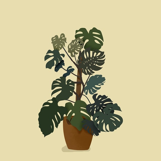 Planten buiten verzorgen: de beste tips en tricks